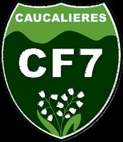 Logo ou image de Caucalières Football 7