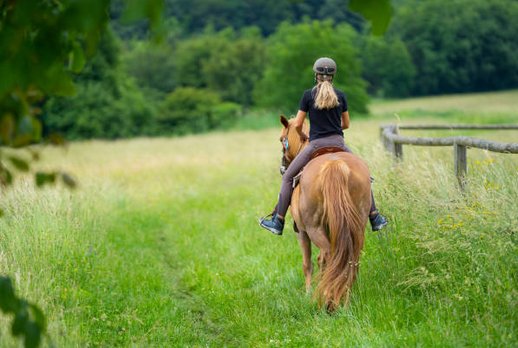 Logo ou image d'Un Poney Une Histoire