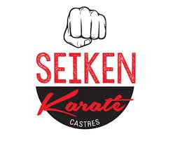 Logo ou image de Seiken Karaté Club