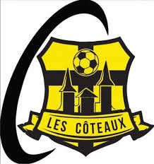 Logo ou image d'Olympique Salies Football