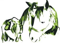 Logo ou image de GAEC Écuries de la Sabatarié