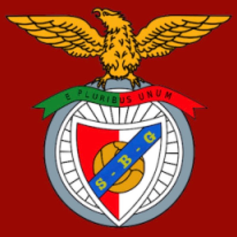 Logo ou image de Sport Benfica Graulhet