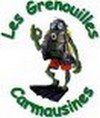 Logo ou image de Les Grenouilles Camausines