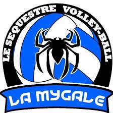 Logo ou image de La Mygale Volley Club Le Séquestre