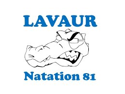 Logo ou image de Lavaur Natation