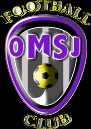 Logo ou image d'O. Montdragon St Julien du Puy
