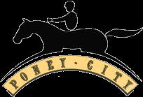 Logo ou image de Poney Club Poney City