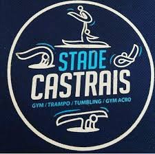 Logo ou image de Stade Castrais
