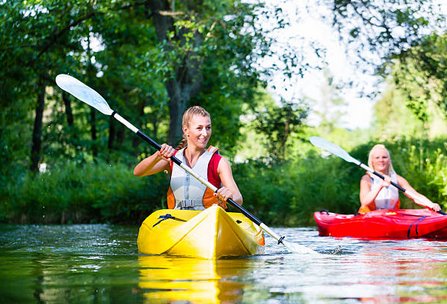 Logo ou image d'Albi Kayak Canoë