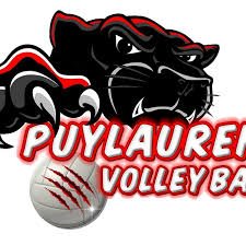 Logo ou image de Puylaurens Volley-ball