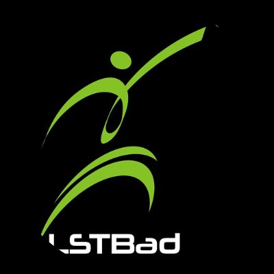Logo ou image de Lisle sur Tarn Badminton