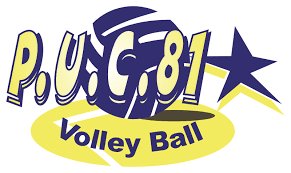 Logo ou image de Puygouzon Castelnau Volley-ball