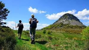 Logo ou image de Le Tescou en Marche