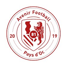 Logo ou image d'Avenir Football Pays dOc 81