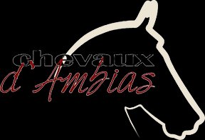 Logo ou image d'Écurie Val d'Ambias