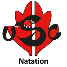 Logo ou image d'US Carmaux