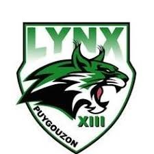 Logo ou image de Racing Club Puygouzon