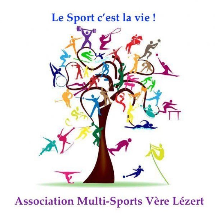 Logo ou image d'Association Multisports Vère Lézert