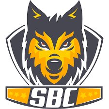Logo ou image de Le Séquestre Basket Club