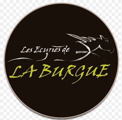 Logo ou image d'Écuries de la Burgue