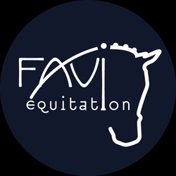 Logo ou image de FAVI Équitation