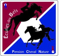 Logo ou image d'Écuries des Bels pensions Cheval Nature