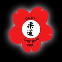 Logo ou image de Dojo Castrais